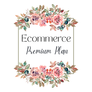 Ecommerce Premium Plan